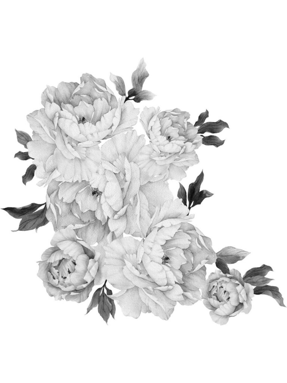 Floral Peony Wall Decal Black and White Florals Removable Peel and Stick